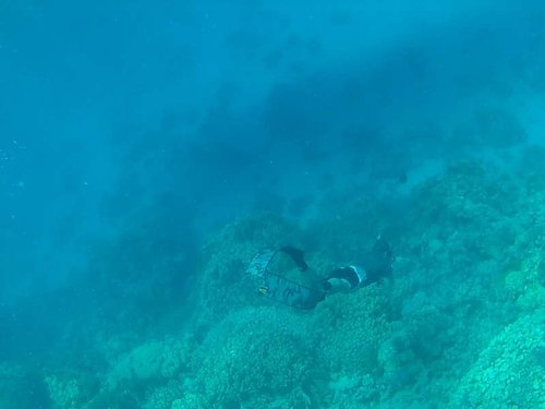 20150503_1052130.JPG