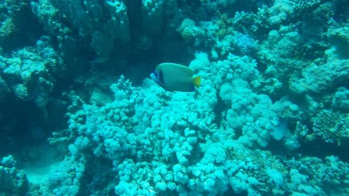 IMG_20150502_093020_971.jpg