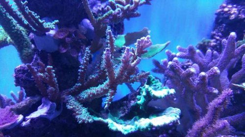 20150510_211832.jpg