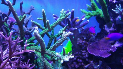 20150510_211911.jpg