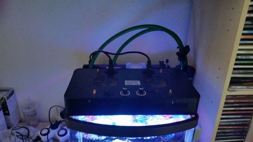 20150421_165524.jpg