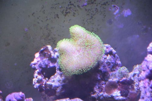 NCM_4209.jpg