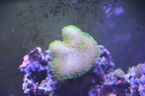 NCM_4232.jpg