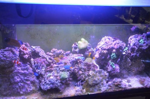 NCM_4235.jpg