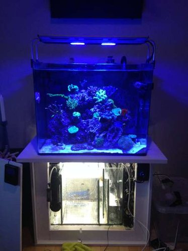 image1 (1).JPG