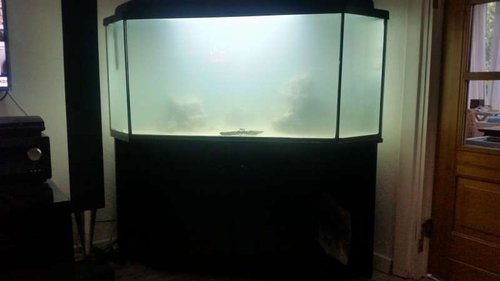 20150522_202253.jpg