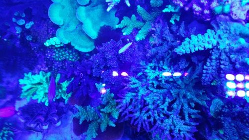 20150529_223641.jpg