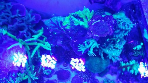 20150529_223759.jpg
