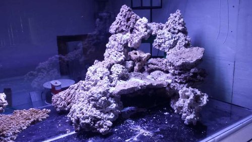 20150608_125954.jpg