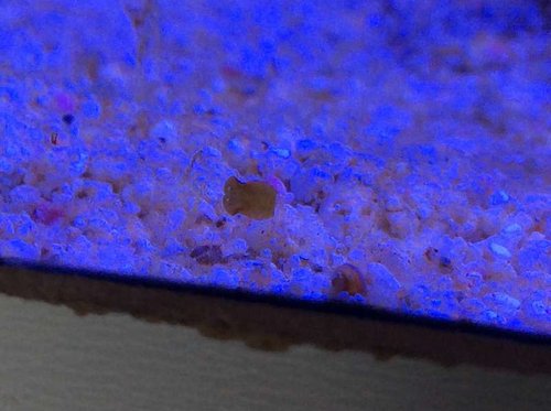 image.jpg (42.36 KiB) Vist 3409 gange DØ!!!!!!