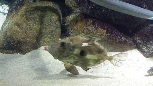 20150622_145002.jpg