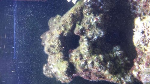 20150625_220806[1].jpg