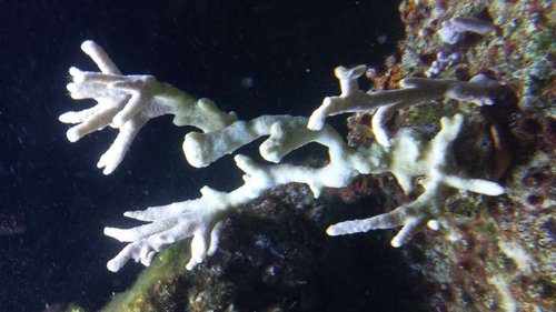 20150625_220810[1].jpg