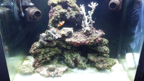 20150625_220821[1].jpg