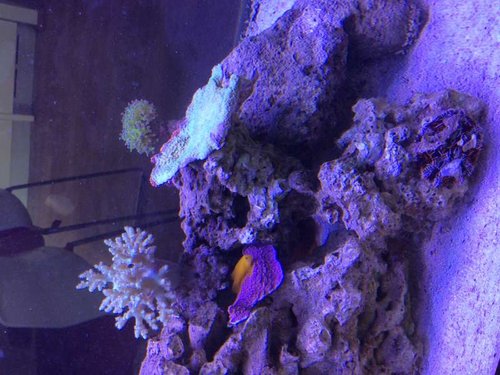 image.jpg (61.47 KiB) Vist 3080 gange Ny beboer