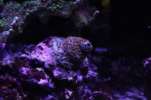 IMG_9345.JPG
