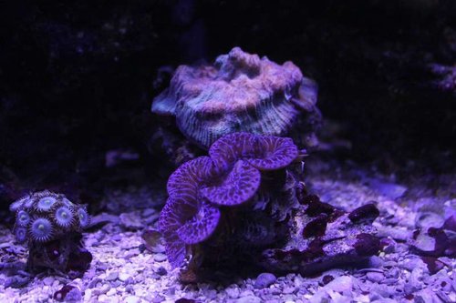 IMG_9349.JPG