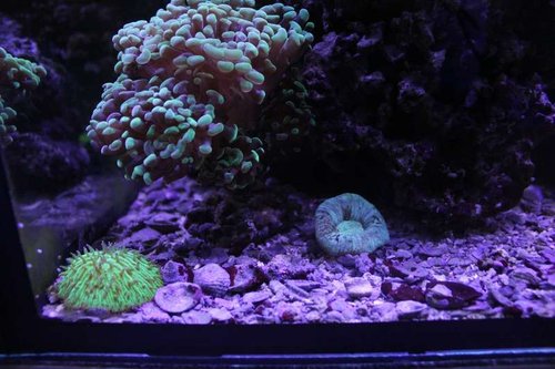 IMG_9352.JPG