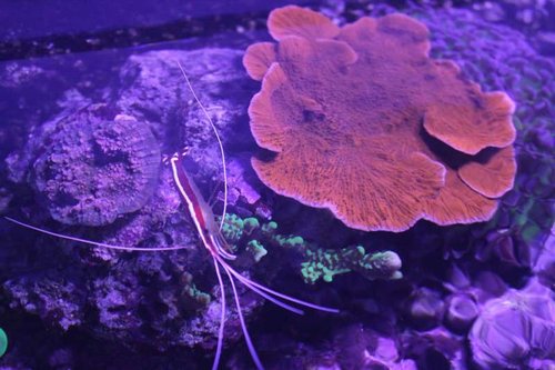 IMG_9357.JPG