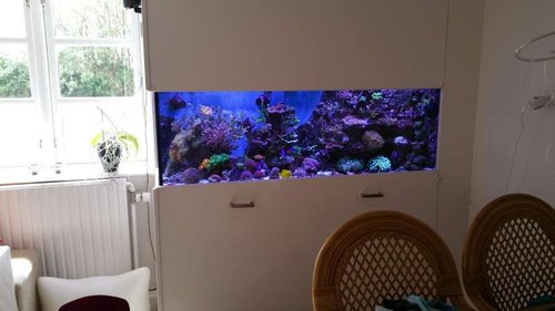 20150711_133725.jpg
