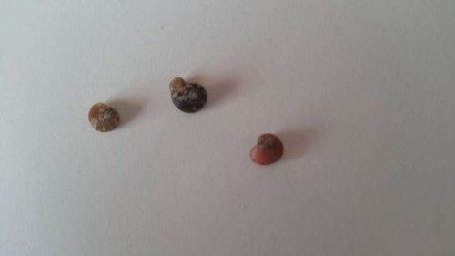 20150714_182845.jpg