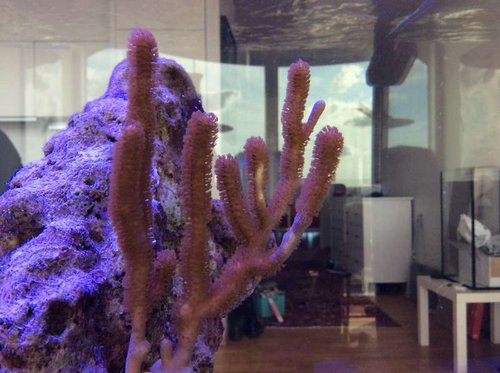 image.jpg (50.75 KiB) Vist 3215 gange Ny indkøb. Id?