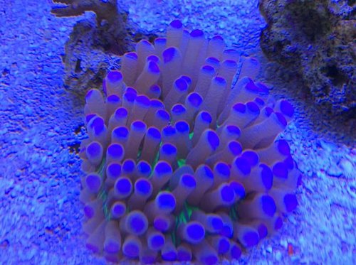 image.jpg (60.04 KiB) Vist 3493 gange Nyindkøb