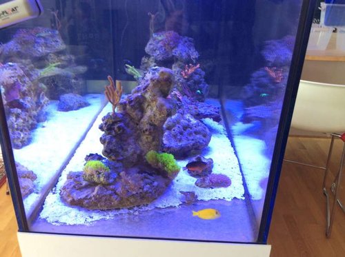 image.jpg (51.84 KiB) Vist 3441 gange Fra enden