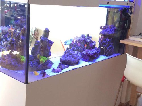 image.jpg (42.98 KiB) Vist 3493 gange Total. Anden side.