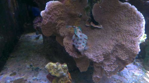 IMAG2897.jpg