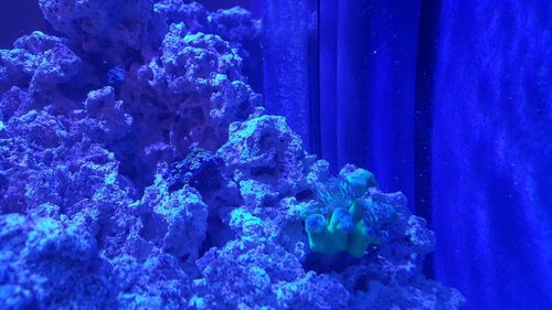 20150731_205526.jpg