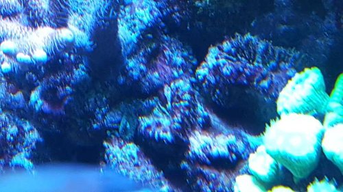 20150806_214911.jpg