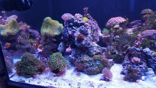 20150815_182705.jpg
