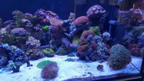 20150815_182717.jpg