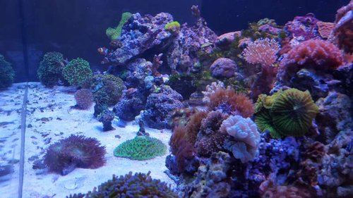 20150815_182740.jpg