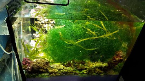 20150815_182946.jpg