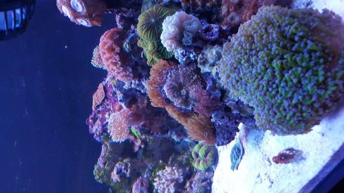 20150815_183212.jpg