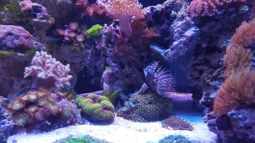 20150815_183223.jpg