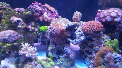 20150815_183240.jpg