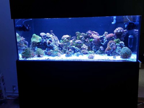 20150815_185125.jpg