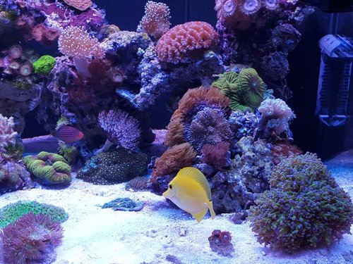 20150815_185214.jpg