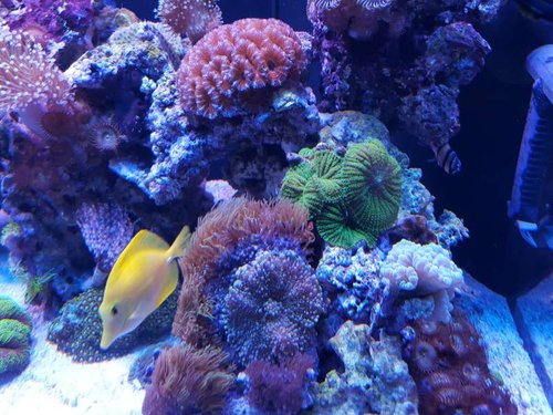 20150815_185331.jpg