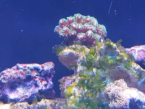 20150815_185436.jpg