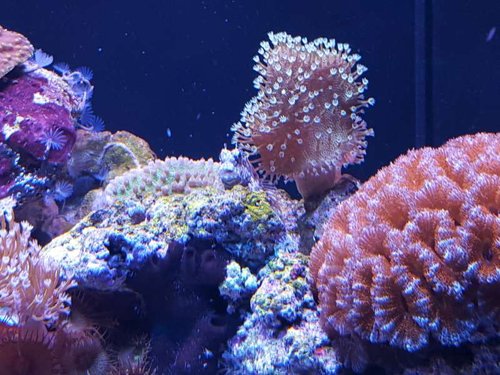 20150815_185416.jpg