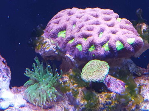 20150815_185453.jpg