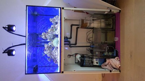 Akvarie + sump 16.08.15