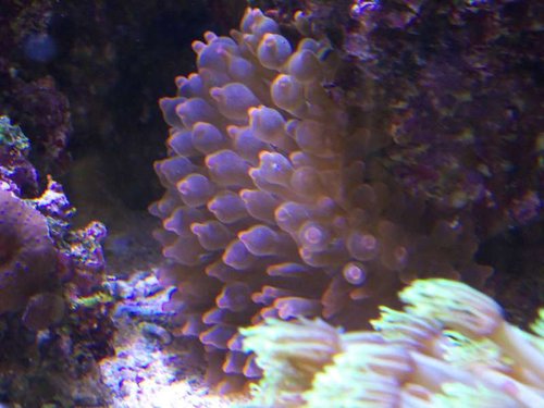 DSCF9906.jpg