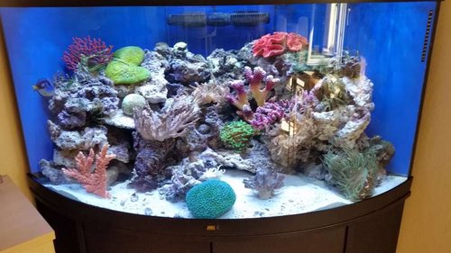 2015-08-19 16.09.12.jpg