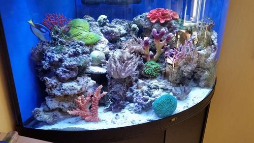 2015-08-19 16.09.06.jpg