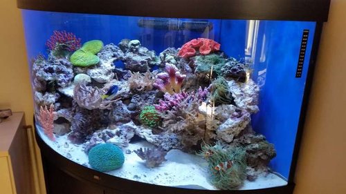 2015-08-19 16.08.59.jpg